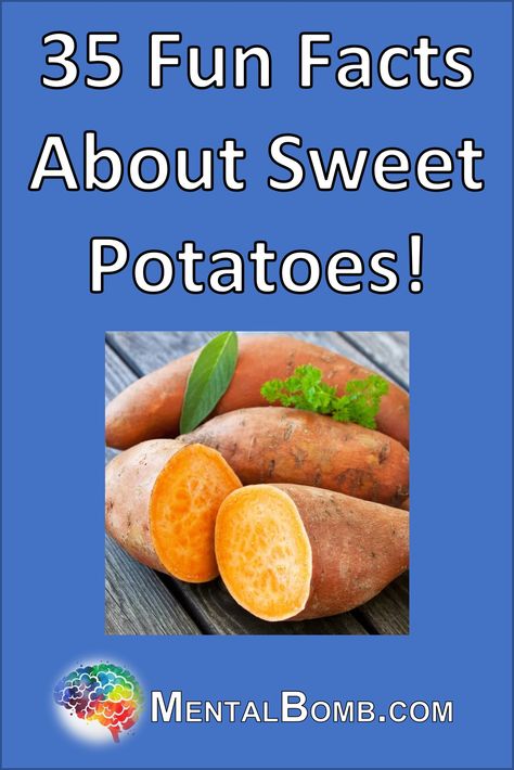 Over 50 fun facts about Sweet Potatoes including 10 fun facts about Sweet Potatoes especially for kids, plus more about where its from, what makes it special, nutrition, and more! Benefits Of Sweet Potato, Sweet Potato Nutrition Facts, Sweet Potato Nutrition, Recipe Boards, Food Staples, Sweet Potato Recipes, Super Sweet, Healthy Alternatives, Potato Recipes