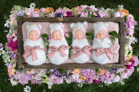 These Newborn Quadruplets Are Completely Identical and Ridiculously Cute- Cosmopolitan.com Identical Quadruplets, Cassandra Jones, Miracle Baby, First Time Parents, Newborn Shoot, Newborn Photoshoot, Photographing Babies, Kids Pictures