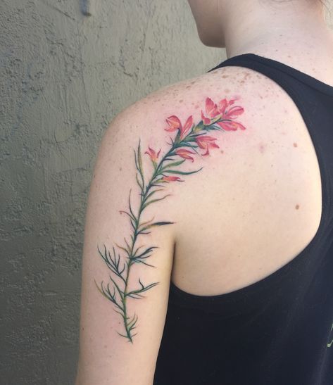 Paintbrush Flower Tattoo, Indian Paintbrush Tattoo, Paintbrush Flower, Bluebonnet Tattoo, Paintbrush Tattoo, Indian Paintbrush Flowers, Brush Flower, Honey Bee Tattoo, Flower Tat