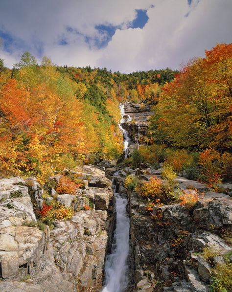 Crawford Notch, New Hampshire Photo Products, New England Fall, Gorgeous Scenery, Autumn Scenery, Fall Travel, Custom Wall Art, Fall Foliage, Custom Wall, New Hampshire