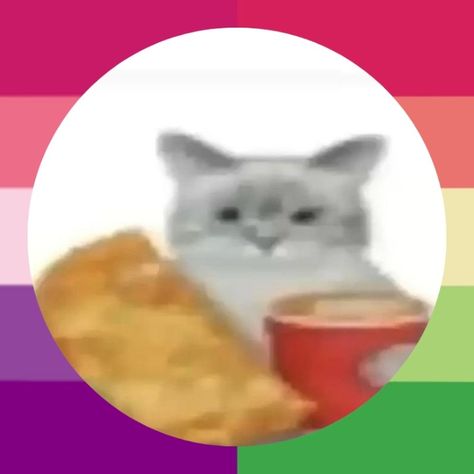 Feel free to use Asexual Pride, Pride Parade, Silly Cats, Lives Matter, Human Rights, Wallpapers, Feel Free, Human, Quick Saves