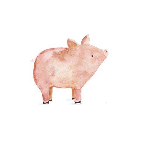 Watercolor Animals Easy, Watercolor Friends, Water Colour Ideas, Light Widgets, Cute Watercolor Animals, Pig Watercolor, Pig Painting, Pig Drawing, Pig Illustration