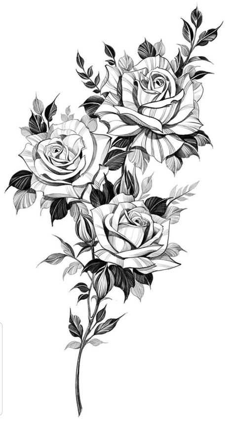 Floral Rose Tattoo Design, 4 Roses Tattoo Design, Rose Floral Tattoo Design, Rose Mandala Tattoo, Rose Flower Tattoos, Rose Drawing Tattoo, Flower Tattoo Drawings, King Tattoos, Roses Tattoo