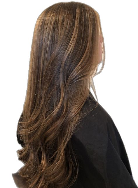 Winter Bayalge Brown Hair With Highlights Caramel, Hair Caramel Balayage, Lowlights Caramel, Brown Hair Caramel Balayage, Balayage For Brown Hair, Brown Hair Caramel, Hair Caramel Highlights, Balayage Brown Hair, Caramel Highlight