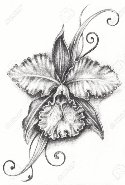 Tatoo miei Cattleya Orchid Tattoo, Orchid Tattoo Ideas, Cattleya Flower, Orchid Drawing, Tattoos Infinity, Orchid Tattoo, Tattoos Mandala, Cattleya Orchid, Flower Tattoo Shoulder