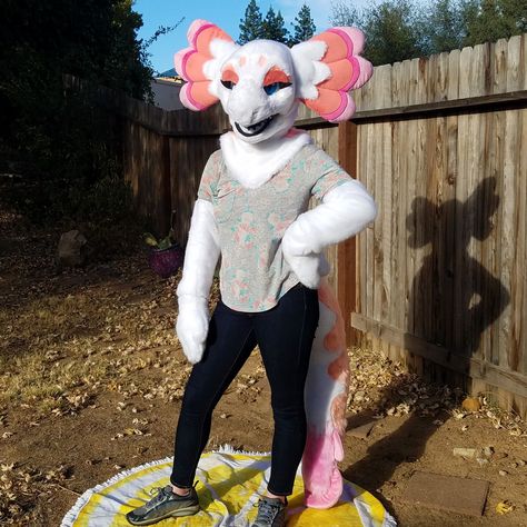 Axolotl Fursuit, Unique Fursuits, Cat Masks, Therian Stuff, Normal Guys, Cat Mask, Animals, Quick Saves, Art