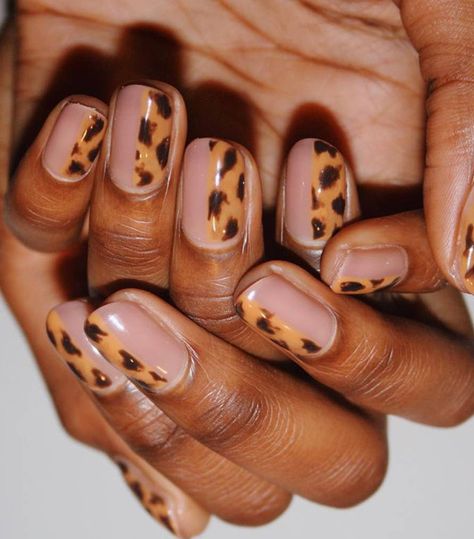 13 Brown Nail Colors for the Perfect Manicure | Who What Wear Sheer Nails, Seasonal Nails, Animal Print Nails, Rose Nails, Nail Photos, Summer Nails Colors, Brown Nails, Crystal Nails, Autumn Nails