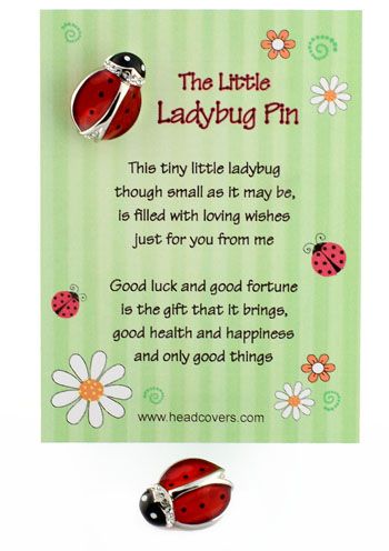 Tiny Pin Gifts For Chemo Patients, Ladybug Quotes, Argan Oil For Hair, Ladybug Decorations, Ladybug Theme, Ladybug Crafts, Ladybug Art, Awareness Jewelry, Ladybug Party