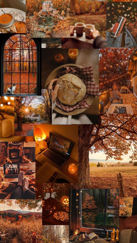 #fall #autumn #fallcollage #autumnwallpaper #fallaesthetics Best Wallpaper Hd, Pop Culture Gifts, Autumn Magic, Iphone Wallpaper Fall, Autumn Coffee, Halloween Backgrounds, Fall Gifts, Fall Pictures, Autumn Cozy