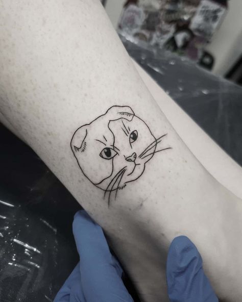 Scottish Fold Cat Tattoo, Linework Cat Tattoo, Line Work Cat Tattoo, Linework Portrait, Cat Face Tattoo, Cats Munchkin, Cat Face Tattoos, Cat Outline Tattoo, Logo Reference