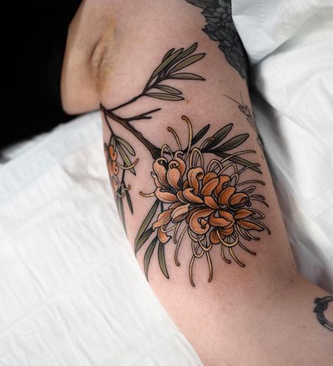 Sumac Tattoo, Grevillea Tattoo, Australian Floral Tattoo Design, Botanical Sleeve Tattoo Wild Flowers, Floral Earthy Tattoo Sleeve, Thespesia Grandiflora Tattoo, Born On Instagram, Bicep Tattoos, Inner Bicep Tattoo