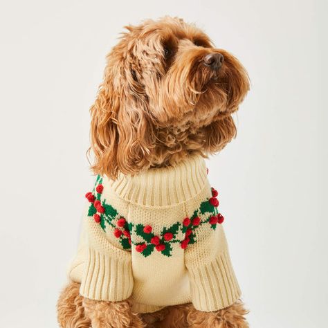 Christmas Sweaters Embroidery, Sweater Diy Ideas, Dog Christmas Sweater, Foggy Dog, Ugly Sweater Diy, The Foggy Dog, Christmas Pullover, Old Pillows, Turtleneck Style