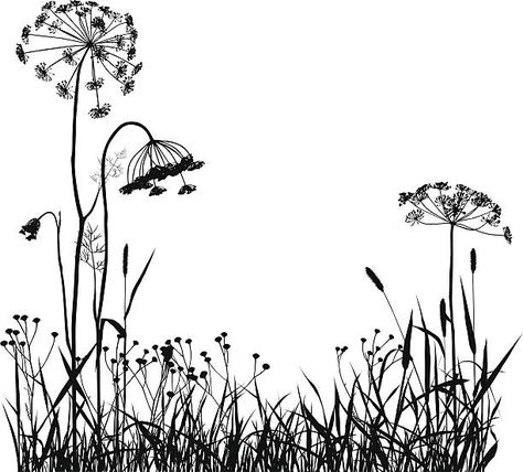 Plant Silhouette, Herbs Image, Dandelion Tattoo Design, Grass Silhouette, Beach Graphics, Grass Drawing, Grass Vector, Dandelion Tattoo, Beach Grass