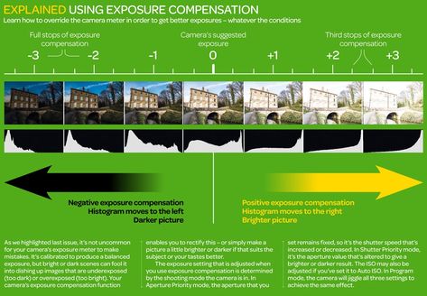 Photography Cheat Sheet: Using Exposure Compensation Iso Explained, Technical Photography, Photo Exposure, Dslr Tips, Photography 101 Canon, Exposure Triangle, Camera Exposure, Camera Ideas, Manual Photography