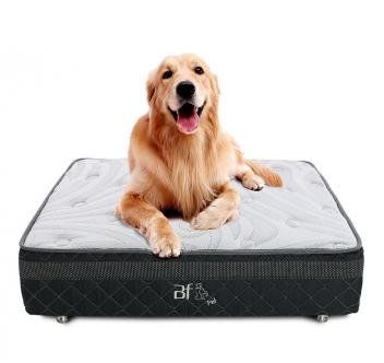 Caminha Box Pet Para Cachorros E Gatos + Lençol Impermeável 100x100cm Bf Colchões - Magazine Monicalps Waterfall Photography, Cama Box, Dog Quotes, Dog House, Pet Shop, Dog Bed, Dog Toys, Pet Accessories, Golden Retriever