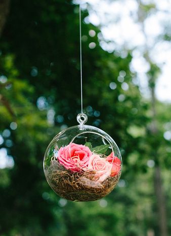 Mini #Terrariums - Fill hanging glass globes with little floral clusters for a modern garden feel. {Katie Stoops Photography} Hanging Glass Globes, Bubble Vases, Hanging Centerpiece, Hanging Glass Terrarium, Plan Wedding, Mini Terrarium, Glass Globes, Shabby Chic Wedding, Hanging Flowers