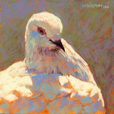 Dove Reference, Dove Paintings, Dove Bird Art, White Doves Painting, Dove Aesthetic, Dove Artwork, Dove Painting Aesthetic, Pigeon Art, Dove Watercolor Painting