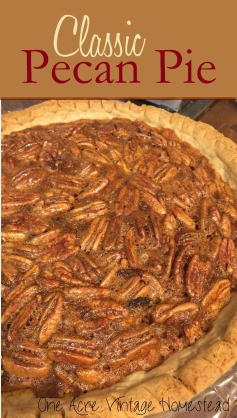 Mountain Homestead, Best Pecan Pie Recipe, Apple Pie Crust, Classic Pecan Pie, Homemade Pecan Pie, Farm Recipes, Southern Pecan Pie, Pumpkin Tarts, Pecan Desserts