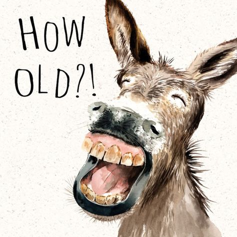 Donkey Birthday Cards, Donkey Birthday, Donkey Funny, 65th Birthday Cards, Happy Birthday Card Funny, Birthday Card For Him, Birthday Card Funny, 55th Birthday, Birthday Card For Her