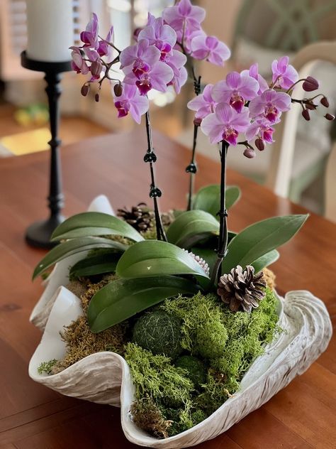 Potted Orchid Centerpiece, Orchid Flower Arrangements, Cozy Living Room Ideas, Table Centerpieces Diy, Orchid Centerpieces, Summer Centerpieces, Make A Room, Growing Orchids, Orchid Arrangements