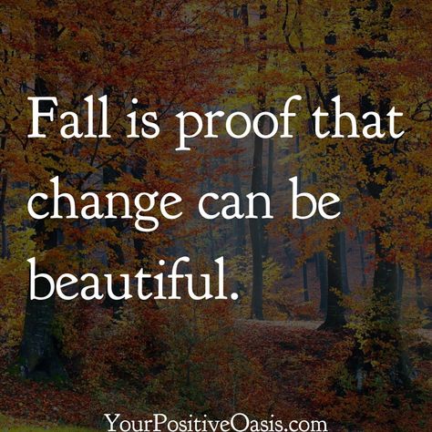 Change Can Be Beautiful, Joyce Meyer Quotes, Leaf Quotes, Neville Goddard Quotes, November Quotes, Fall Quote, Fall Quotes, Season Quotes, Life Is A Gift