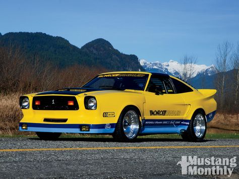 monroe handler cobra ii | Monroe Handler 1978 Ford Mustang II - The Handler Photo Gallery Mustang Ii Custom, Mustang Race Car, Mustang 1968, 65 Mustang, Mustang Ii, Mustang Cobra, Ford Mustang Shelby, Pony Car, Shelby Cobra