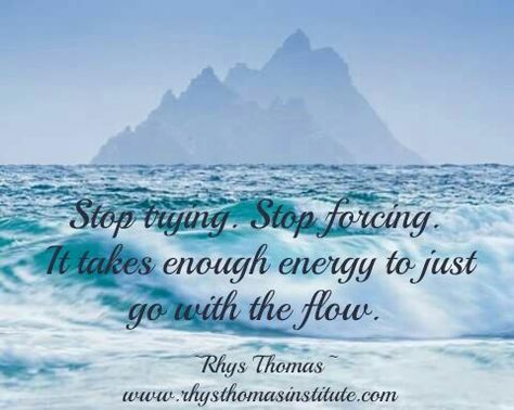 Go With The Flow Quotes, Flow Quotes, Medicine Quotes, Just Go With The Flow, Likeable Quotes, Positive Sayings, Universe Quotes, Stop Trying, Energy Medicine