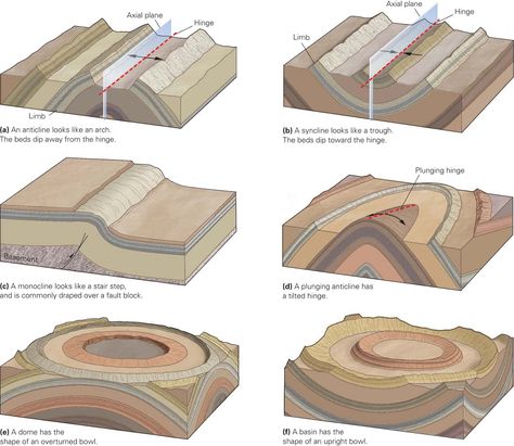 A blog about geology. Geology Humor, Earth Science Lessons, Rock Cycle, Geology Rocks, Sedimentary Rocks, Plate Tectonics, Meteorology, College Degree, Science Lessons