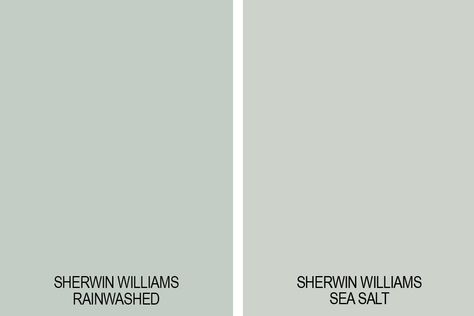 Rainwashed by Sherwin Williams is a beautiful green paint color with strong blue-gray undertones. It can appear more green or blue-gray depending on the light. It's a great choice for bathrooms and bedrooms. Learn more about this paint color and whether it's right for your home in this paint color review post. Rainwashed Kitchen Cabinets, Goth Decorations, Sherwin Williams Rainwashed, Memphis House, Green Paint Colors Bedroom, Rainwashed Sherwin Williams, Green Room Colors, Light Green Paint, Green Grey Paint