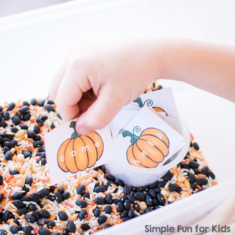 Sight Word Pumpkin Patch Sensory Bin - Simple Fun for Kids Sight Word Sensory Bin, Gingerbread Baby, Learning Sight Words, Sight Word Reading, Gross Motor Activities, Site Words, Sight Word Activities, Sensory Bin, Learning Objectives