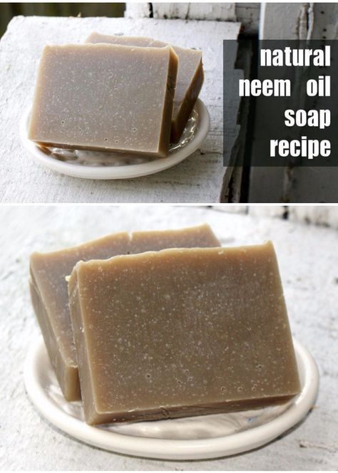 This natural neem oil cold process soap recipe is perfect for those with skin issues like eczema, psoriasis and even seborrheic dermatitis. It's one of my favorite homemade soap recipes since it works so well as multi-task bar that can be used for both hair and skin! Neem Oil Soap, Natural Soaps Recipes, Neem Soap, How To Make Soap, Cold Process Soap Recipes, Problem Skin, Make Soap, Soap Recipe, Soap Making Supplies