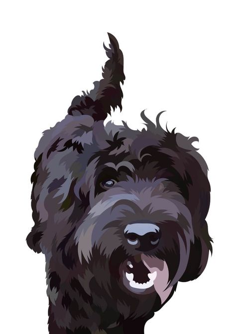 Labradoodle Painting, Labradoodle Art, Black Labradoodle, Oil Painting Gallery, Dog Portraits Art, Black Russian Terrier, Labradoodle Dogs, Custom Portrait Illustration, Custom Dog Portraits