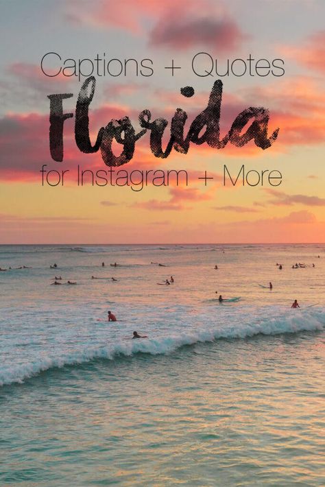 Florida Instagram Captions, Adventure Captions, Florida Quotes, Florida Funny, Short Instagram Captions, Florida Adventures, Festival Guide, Quotes Ideas, Caption For Yourself