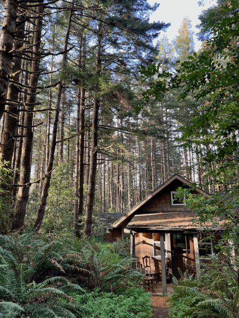 25 Hidden Oregon and Washington hotels -- unique places to stay Joseph Oregon, Southern Oregon Coast, Pacific City, Eastern Oregon, Lake Lodge, Columbia River Gorge, Rainier National Park, Southern Oregon, Unique Places