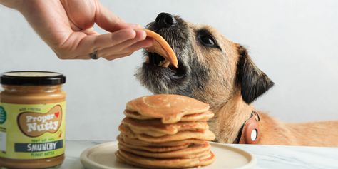 Dog Pancakes Dog Pancakes, Easy Biscuit Recipe, Dog Biscuit Recipes, Dog Biscuits Homemade, Easy Dog Treats, Banana And Egg, Pancake Recipe Easy, Dog Treats Homemade Recipes, Dog Biscuits