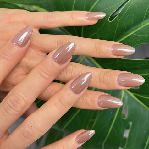 Beige Ombre Nails, Brown Nail Ideas, Nail Ideas For Fall, Silhouette Nails, Ombre Chrome Nails, Nail Chrome, Chrome Design, Xmas Nail Art, Brown Nail