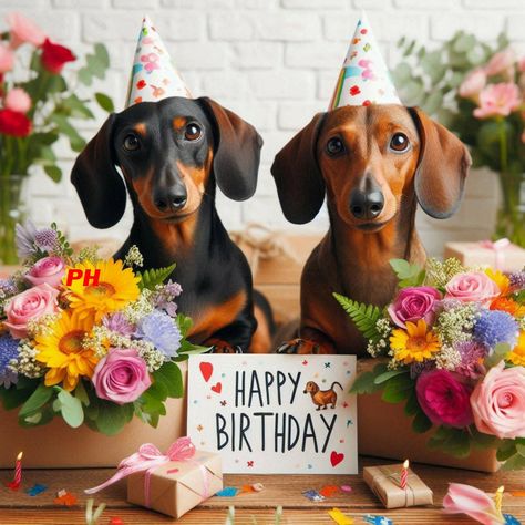 Dog Birthday Wishes, Happy Birthday Dachshund, Animated Happy Birthday Wishes, Happy Birthday Wishes Pics, Dachshund Birthday, Birthday Wishes Pics, Happy Birthday Cat, Happy Birthday Dog, Birthday Wishes Greetings