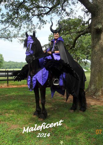 "Maleficent" by "Horse Costumes by Pamela". Rider's costume is from a vintage pattern the client found, but the pattern had to be customized to make this costume suitable for riding. Horse costume is an original design. This costume is for sale! See "Horse Costumes by Pamela" on Facebook for info. Horse Parade Costume, Equine Halloween Costumes, Matching Halloween Costumes With Horse, Horses In Costumes, Black Horse Costume Ideas, Horse Coustums, Halloween Costumes For Horses And Rider, Horse Halloween Costumes Equestrian, Halloween Horse Costumes