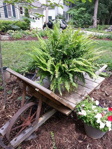 "antique" Wheelbarrow; I love to use anything as a pot and galvanized tins are no exception. This antique wheelbarrow I had to put new wood but the vintage look is priceless. Antique Wheelbarrow, Rustic Wheelbarrows, Garden Frog, Unusual Planter, Wheelbarrow Planter, Wheelbarrow Garden, Garden Frogs, Wheelbarrows, Backyard Diy