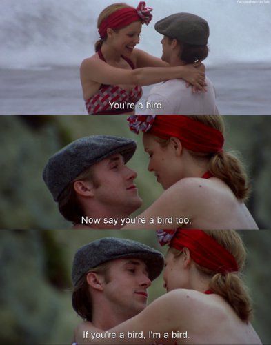 The Notebook Notebook Scenes, The Notebook Scenes, Notebook Movie, The Scene Aesthetic, Nicholas Sparks Movies, The Notebook Quotes, Cinema Quotes, Scene Aesthetic, Sun Projects