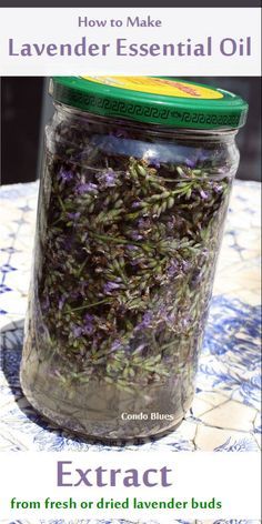 Make Lavender Essential Oil, Lavender Essential Oil Diy, Essential Oil Diy, Candle Recipes, Lavender Recipes, Making Essential Oils, Diy Essentials, Herbal Healing, Lavender Plant