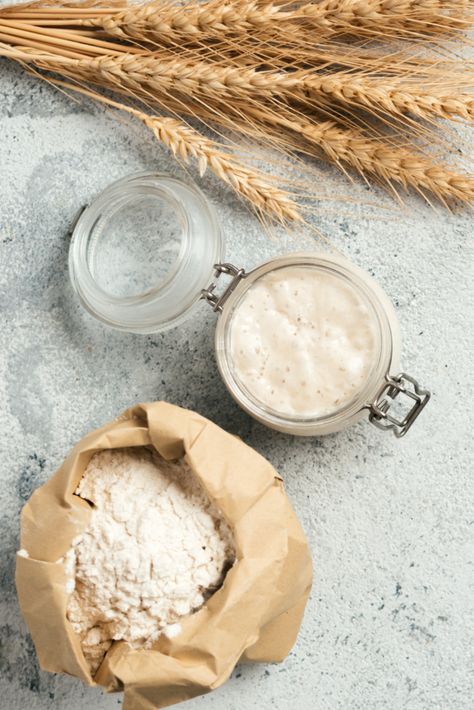 How To Feed Sourdough Starter And Maintain It - More Momma! Revive Sourdough Starter, Best Sourdough Starter Recipe, Homemade Hot Dog Buns, Make Sourdough Starter, Pizza Bases, Homemade Hot Dogs, Sourdough Cinnamon Rolls, Sourdough Starter Recipe, Wild Yeast