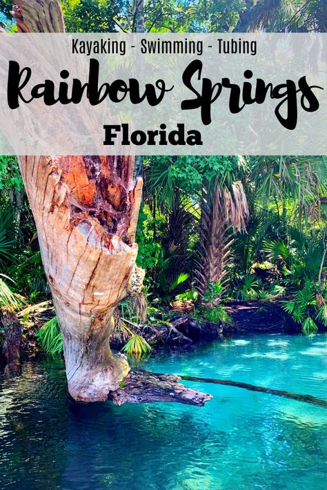 Kayaking, swimming, and tubing are all fun activities available along the Rainbow River and Rainbow Springs State Park in Dunnellon, Florida. Use this guide to plan your trip which is perfect for both the summer and winter months. Only a short drive from both Tampa and Orlando, Rainbow Springs is the perfect weekend getaway or addition to any Florida vacation. Cool off in the crystal clear water as you float with the current along Florida's lush forests. #adventure #outdoors #floridasprings Paddle Boarding Florida Springs, Paddle Boarding In Florida, Paddle Boarding Florida, Rainbow Springs Florida, Florida Kayaking, Dunnellon Florida, Springs In Florida, Rainbow Springs State Park, Florida Vibes