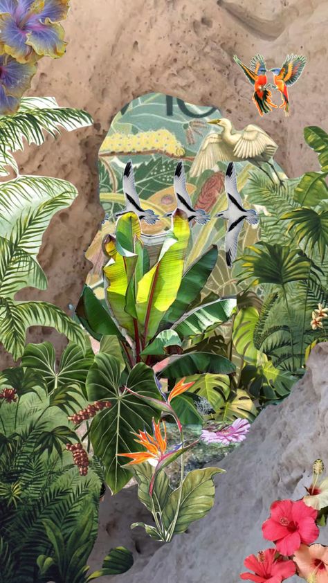 #aesthetic #collage #plants #jungle #moodboard #summer #pink Jungle Mood Board, Vintage Jungle Aesthetic, Plant Aesthetic Collage, Jungle Collage, Collage Plants, Tropical Aesthetic Collage, Tropical Collage Wallpaper, Shuffles Aesthetic, Plant Spacing