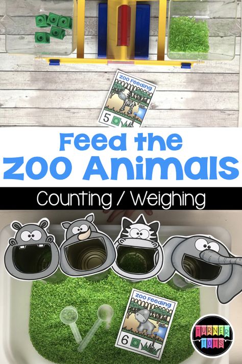 Off to the Zoo to Learn Something New | Preschool Activities | Turner Tots Safari Animals Sensory Bin, Zebra Sensory Bin, Feed The Elephant Activity, Feed The Animals Sensory Bin, Zoo Theme Sensory Bin, Elephant Sensory Bin, Zoo Theme For Toddlers, Hippo Activities For Preschool, Pre K Zoo Activities