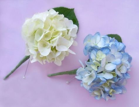 Hydrangea Corsage, Hydrangea Boutonniere, Corsage Wedding, Boutonniere Wedding, Theme Color, White Hydrangea, Bridal Flowers, Wedding Plans, Boutonniere