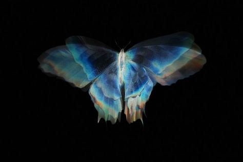 Butterflies Wallpaper Laptop, Blue Butterfly Wallpaper Laptop, Butterfly Laptop Wallpaper, Butterfly Wallpaper Laptop, Pc Desktop Wallpaper Hd, Cyan Aesthetic, Keyboard Wallpapers, Pc Desktop Wallpaper, Butterfly Aesthetic