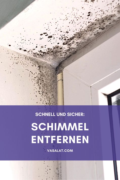 Fenster mit Schimmel: Schnell und sicher: Schimmel entfernen Blue