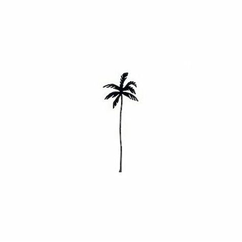 Tropical Tattoo, Palm Tattoos, Palm Tree Tattoo, Tattoo Illustration, Instagram Logo, Tree Tattoo, S Tattoo, Minimal Tattoo, Highlight Icons