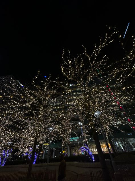 christmas lights outside downtown detroit Lights Outside, Christmas Lights Outside, Downtown Detroit, Chamomile Tea, City Lights, Christmas Lights, The City, Holidays, Tea